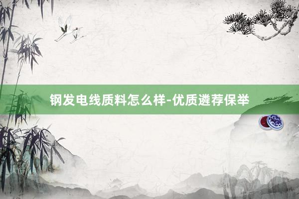 钢发电线质料怎么样-优质遴荐保举