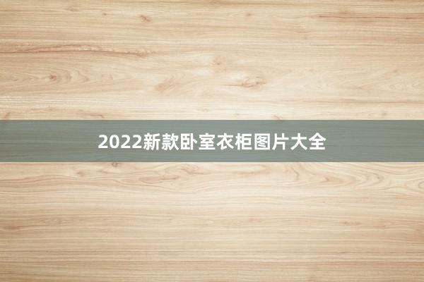 2022新款卧室衣柜图片大全
