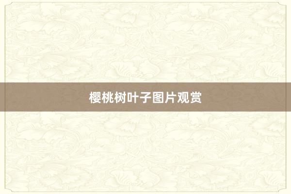 樱桃树叶子图片观赏